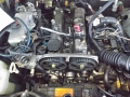 IMGP6190.jpg