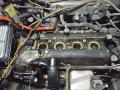 IMGP6207.jpg