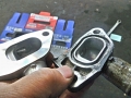 IMGP6556.jpg