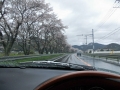 IMGP6642.jpg