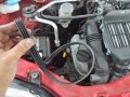 IMGP7134.jpg