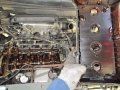 IMG_5778.jpg